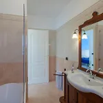 Apartment Lovely In